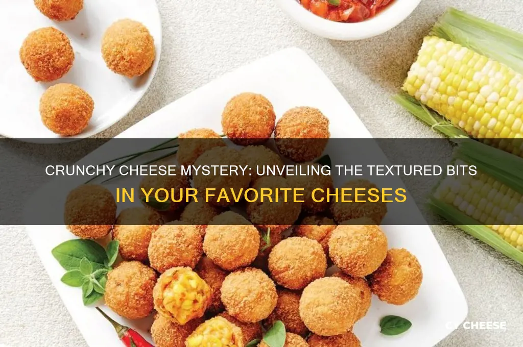 what is the slightly crunchy textured bits in some cheeses