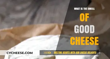 The Aromatic Allure: Unveiling the Complex Smell of Good Cheese
