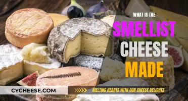 The Stinkiest Cheeses: What Makes Them Smell So Bad?