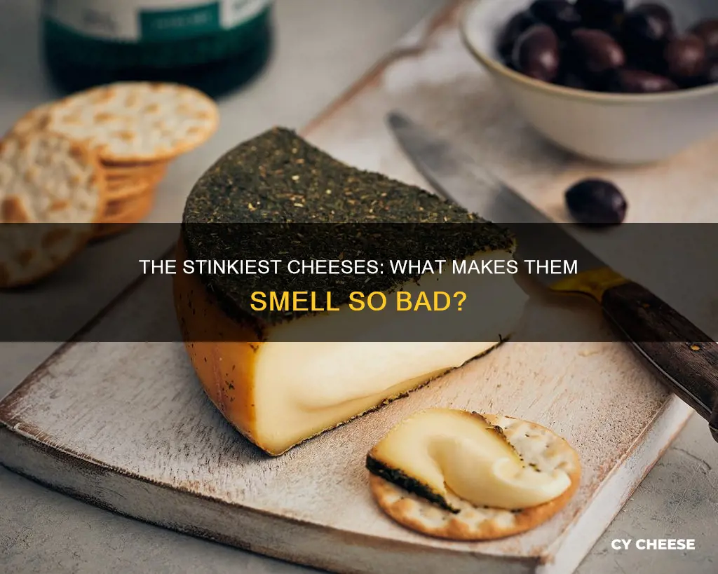 what is the smellist cheese made