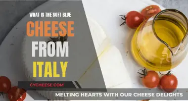 Unveiling Italy's Soft Blue Cheese Delicacy: A Culinary Adventure