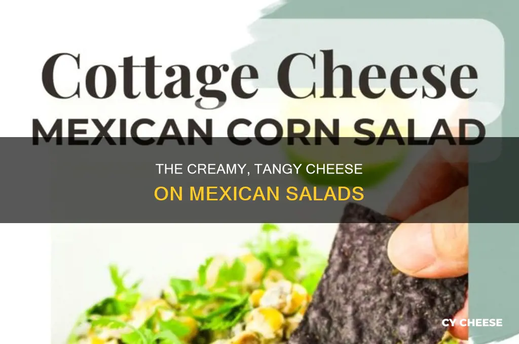 what is the soft white cheese used on mexican salads