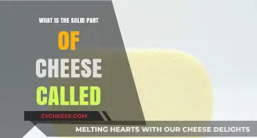 Understanding Cheese Anatomy: What's the Solid Part of Cheese Called?