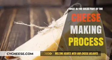 Understanding the Solidification Stage in Cheese Making: A Comprehensive Guide