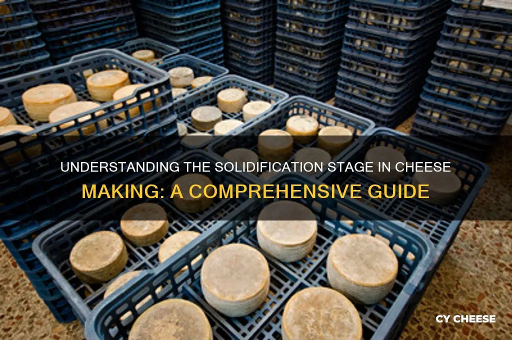 what is the solid part of the cheese making process