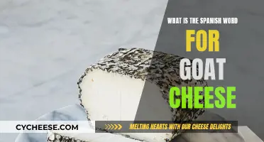 Exploring the Spanish Term for Goat Cheese