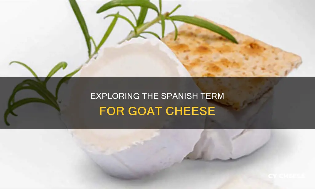 what is the spanish word for goat cheese