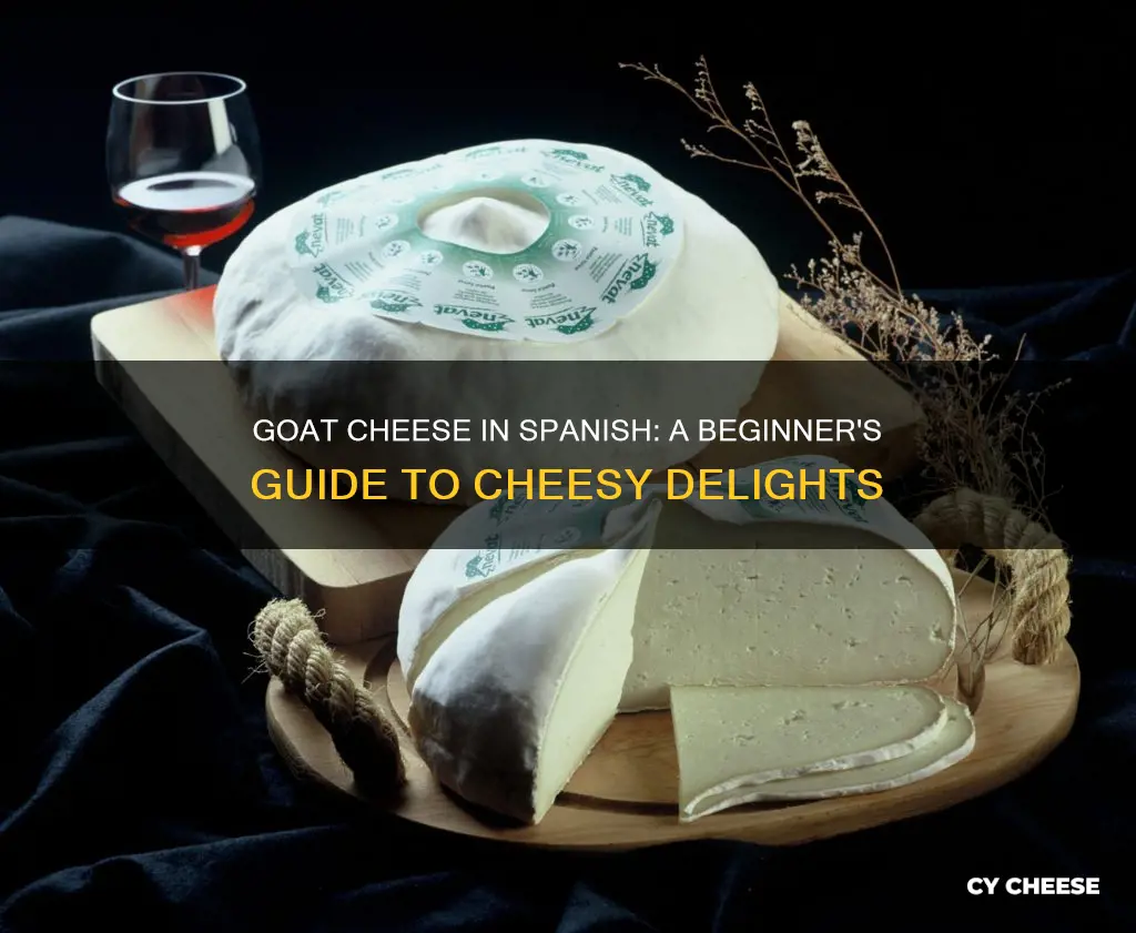 what is the spanish word for goat cheese