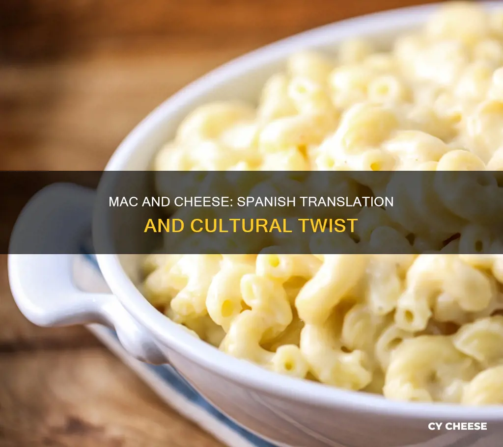 what is the spanish word for macaroni and cheese