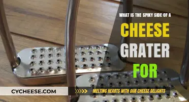 Unveiling the Mystery: The Spiky Side of a Cheese Grater Explained
