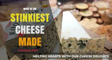 The World's Most pungent: A Journey into the Smelliest Cheeses