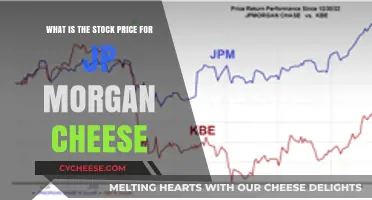 JP Morgan Cheese Stock Price: Understanding the Financial Landscape