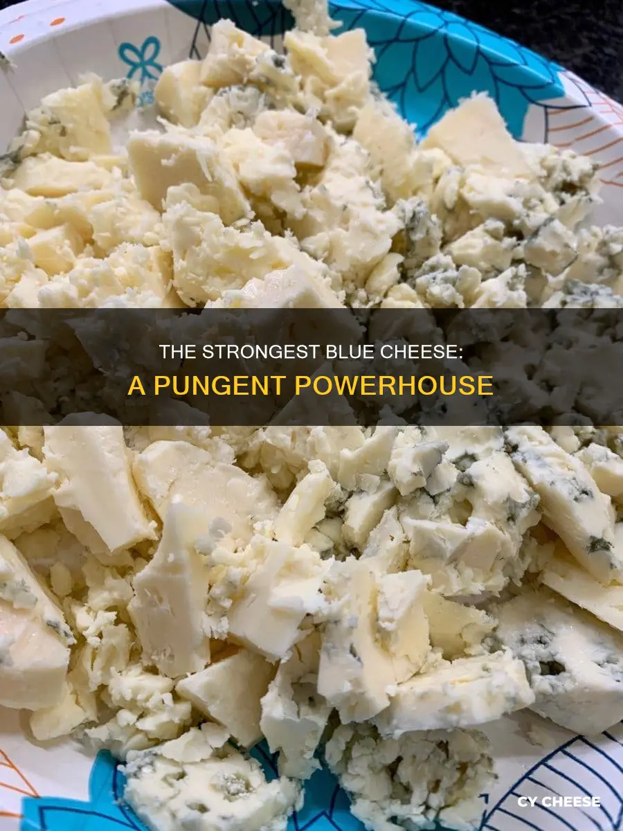 what is the strongest blue cheese