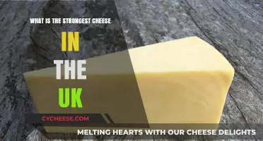 Unveiling the UK's Boldest Cheese: A Pungent Powerhouse Revealed