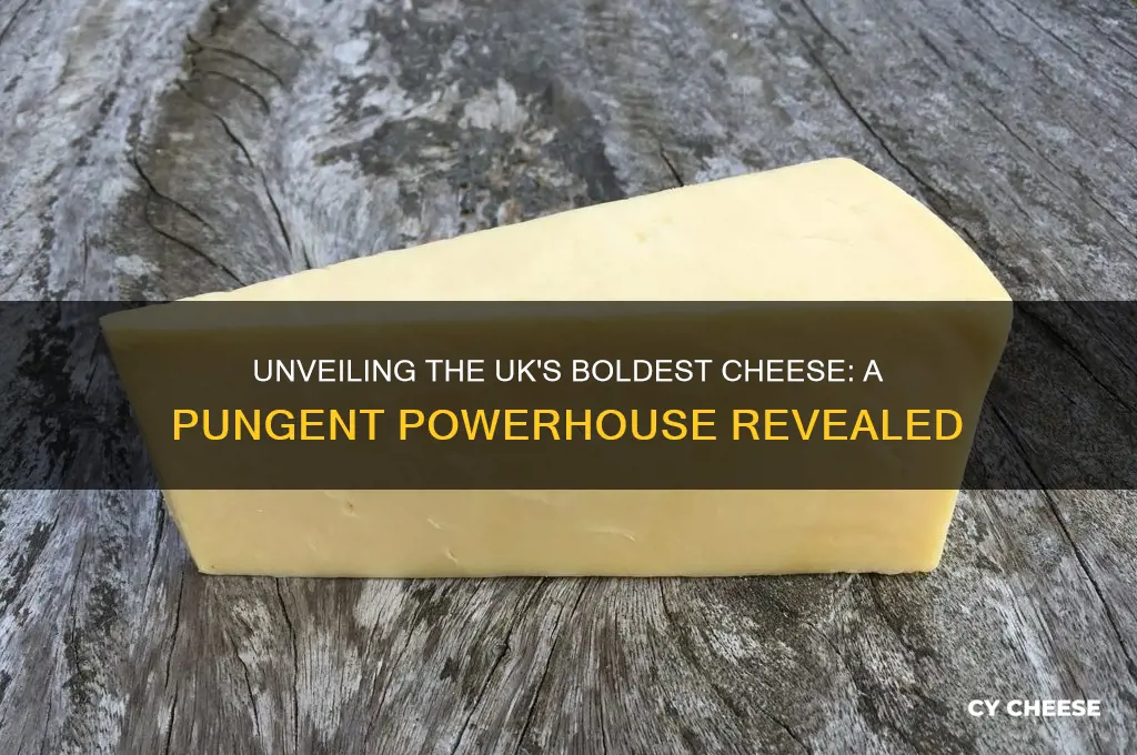 what is the strongest cheese in the uk