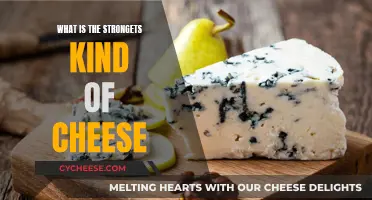 The Strongest Cheeses: A Comprehensive Guide to Cheese Power