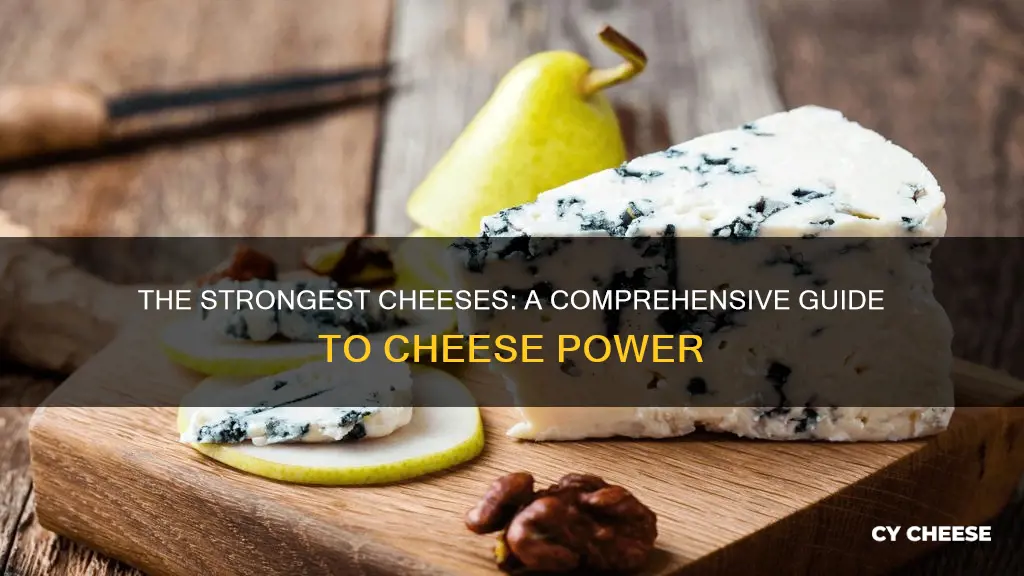 what is the strongets kind of cheese