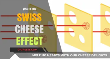 Swiss Cheese Effect: How Holes Impact Safety