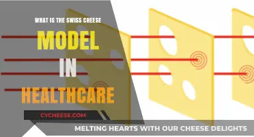 Swiss Cheese Model: Healthcare's Holistic Defense Strategy