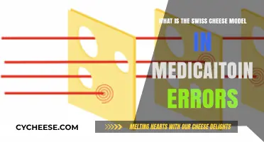 Swiss Cheese Model: Understanding Medication Errors
