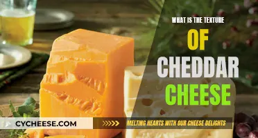 The Creamy, Tangy Texture of Cheddar: A Tasty Adventure