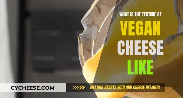 Vegan Cheese: Texture and Taste Experience