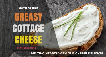 Understanding Thick, Greasy Cottage Cheese: Causes, Uses, and Health Insights
