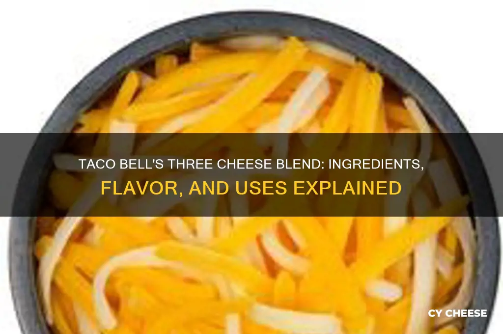 what is the three cheese blend at taco bell