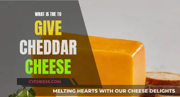 The Ultimate Guide to Cheddar Cheese: A Tasty Journey