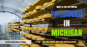 Michigan's Creamy Crown: Unveiling the State's Top Cheese Production
