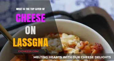 The Perfect Lasagna: Unveiling the Top Cheese Layer Secrets