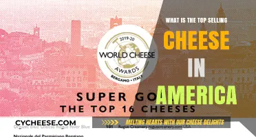 America's Favorite Cheese: Unveiling the Top-Selling Variety Nationwide