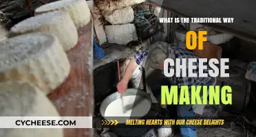 Mastering the Art of Traditional Cheese Making Techniques