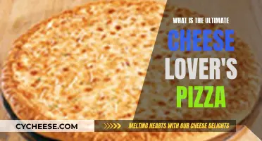 Cheese Lover's Dream Pizza: The Ultimate Indulgence
