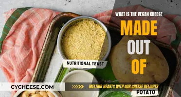 Vegan Cheese: What's in This Dairy-Free Delight?