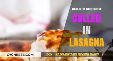 Discover the Creamy White Cheese Used in Classic Lasagna Recipes