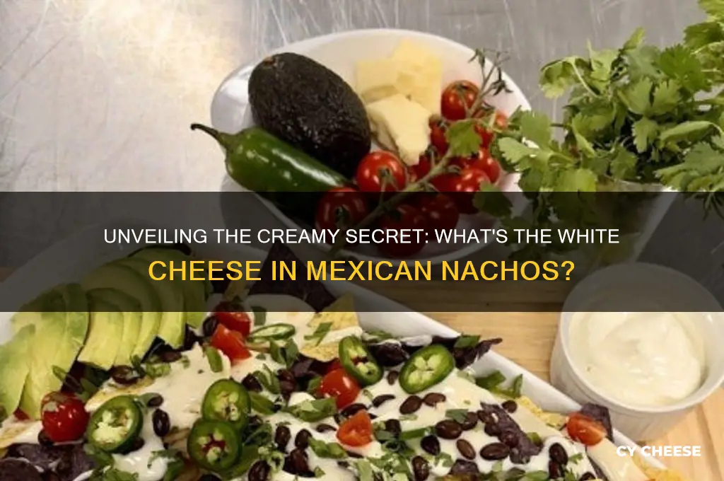what is the white cheese in mexican nachos