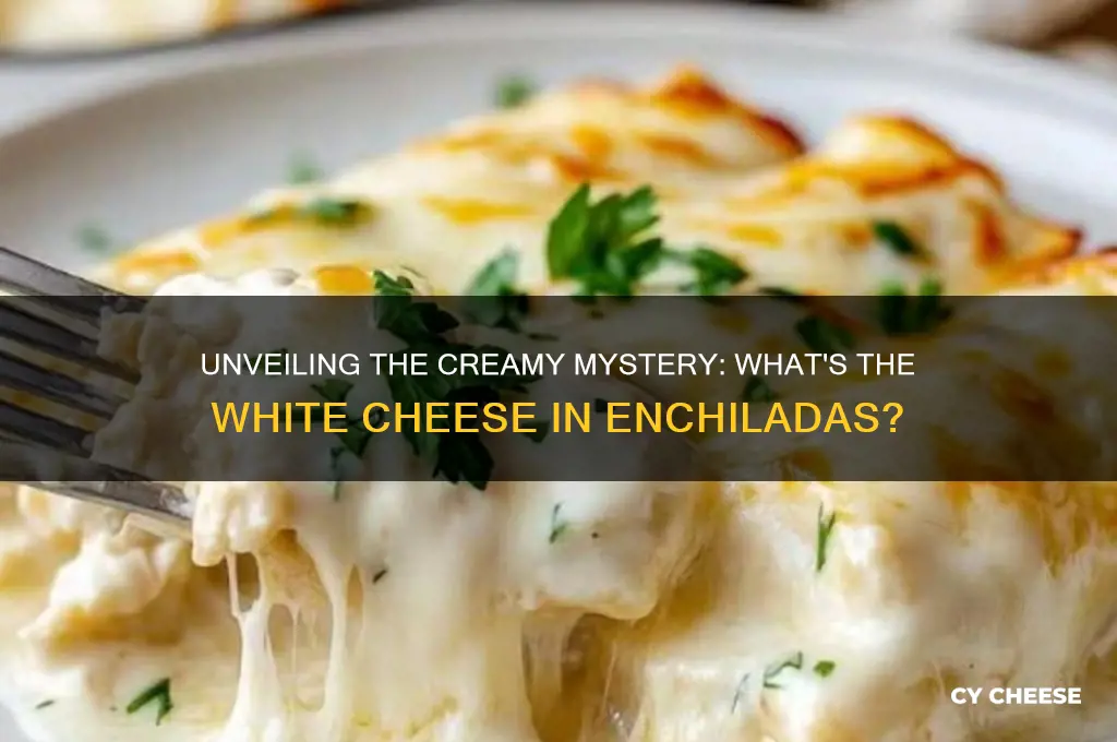 what is the white cheese inside of enchiladas