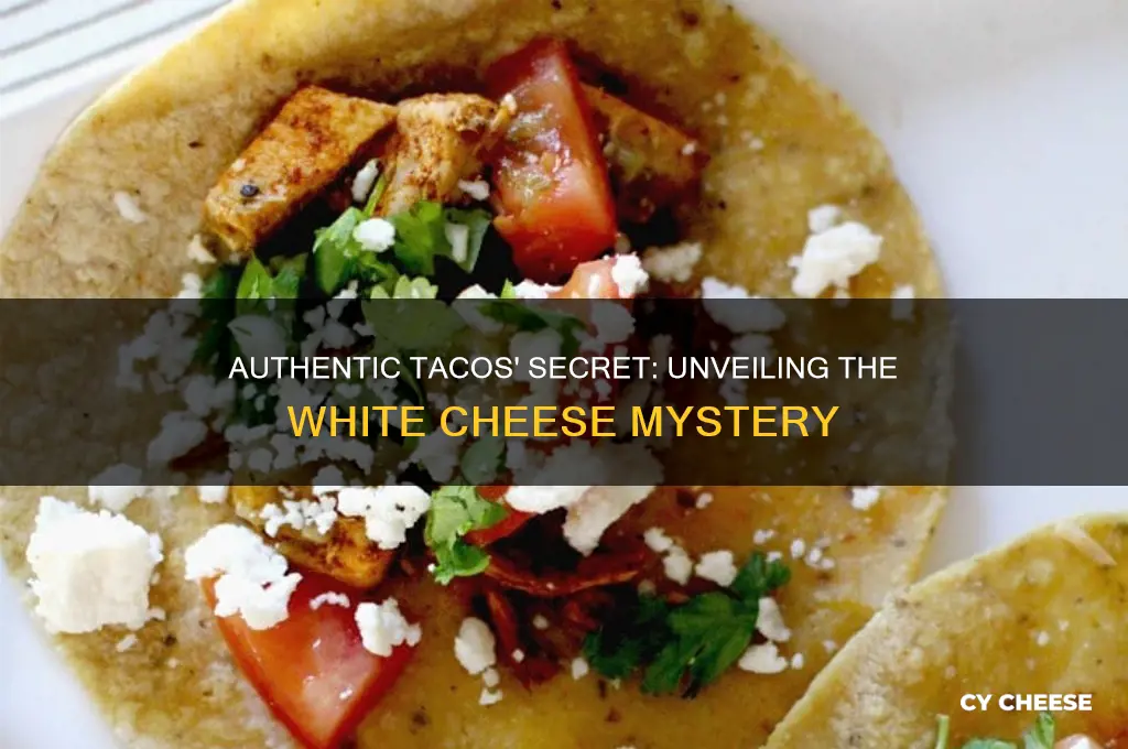 what is the white cheese on authentic tacos
