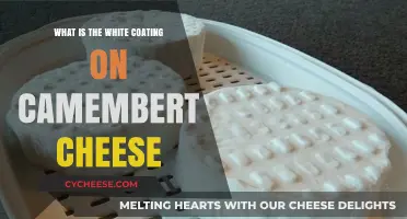 Understanding the White Bloom on Camembert Cheese: A Tasty Mystery