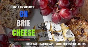 Understanding the White Crust on Brie Cheese: A Tasty Mystery Explained