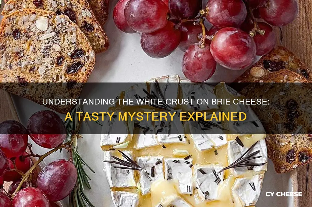 what is the white crust on brie cheese