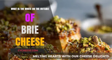 Understanding the White Exterior of Brie Cheese: A Tasty Exploration