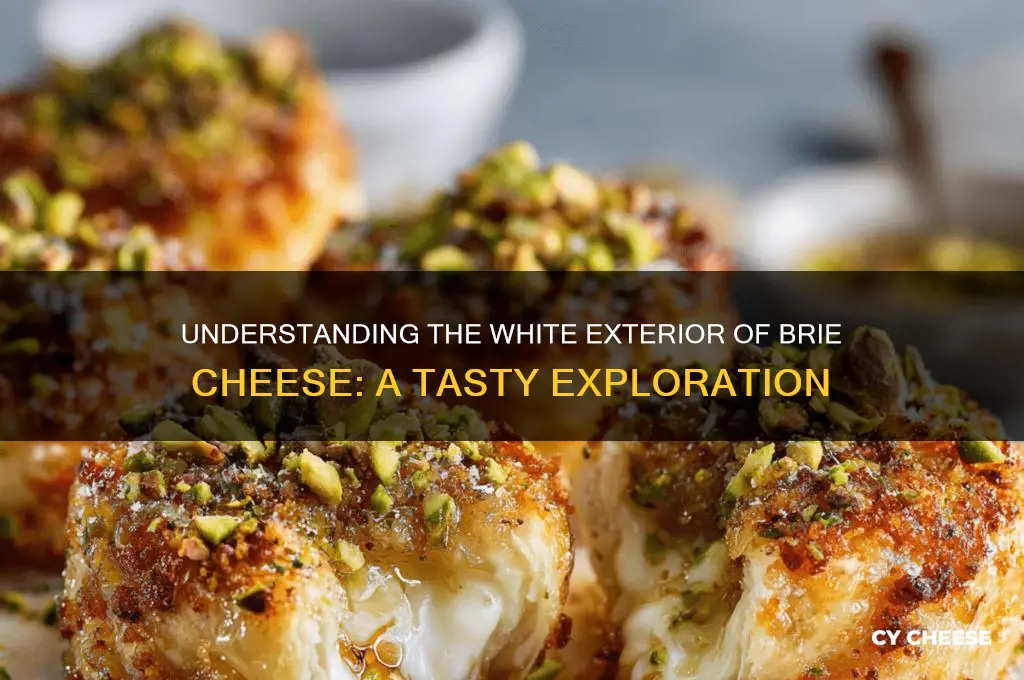 what is the white on the outside of brie cheese