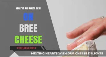 Understanding the White Skin on Brie Cheese: A Tasty Mystery Explained