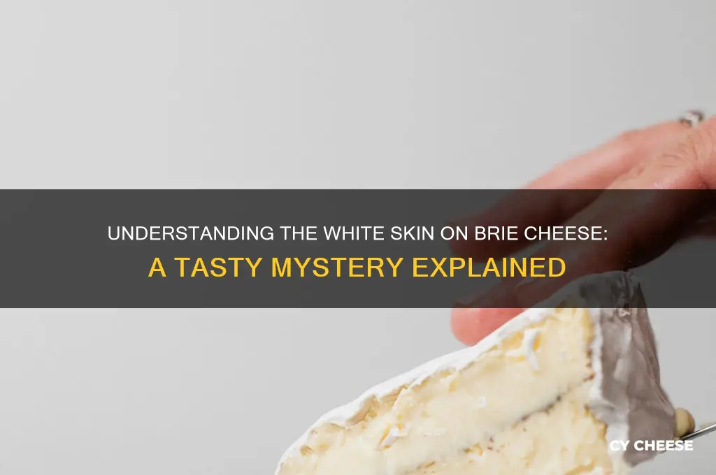 what is the white skin on brie cheese