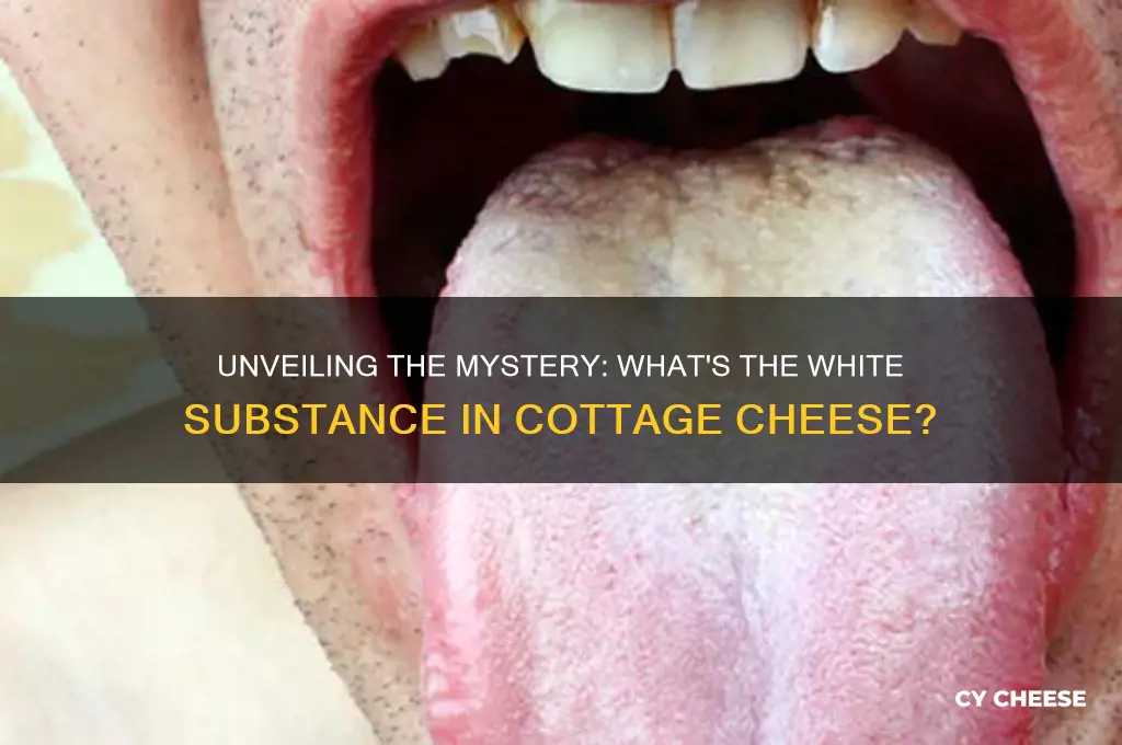 what is the white stuff in cotton cheese