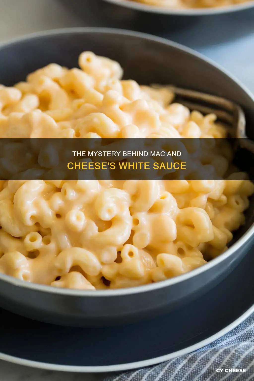 what is the white stuff in macaroni and cheese