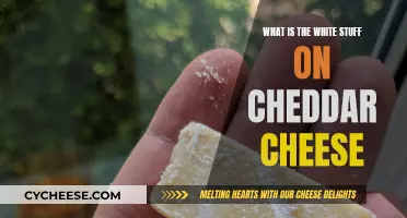 Unveiling the Mystery: Why Cheddar Cheese Has a White Coating