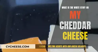 Unveiling the Mystery: Why Cheddar Cheese Has White Spots